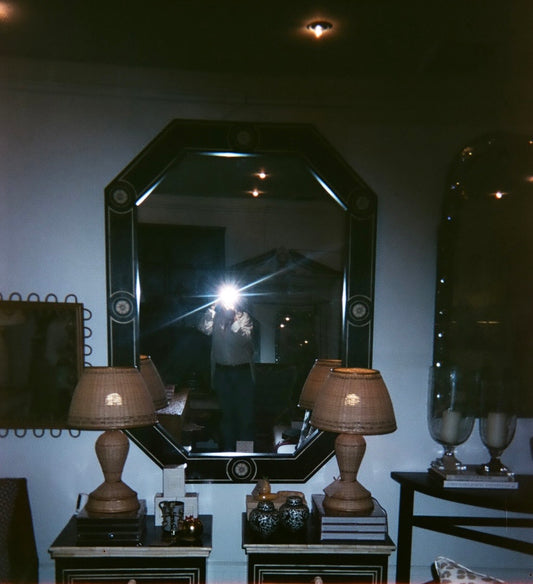 Delphine Mirror